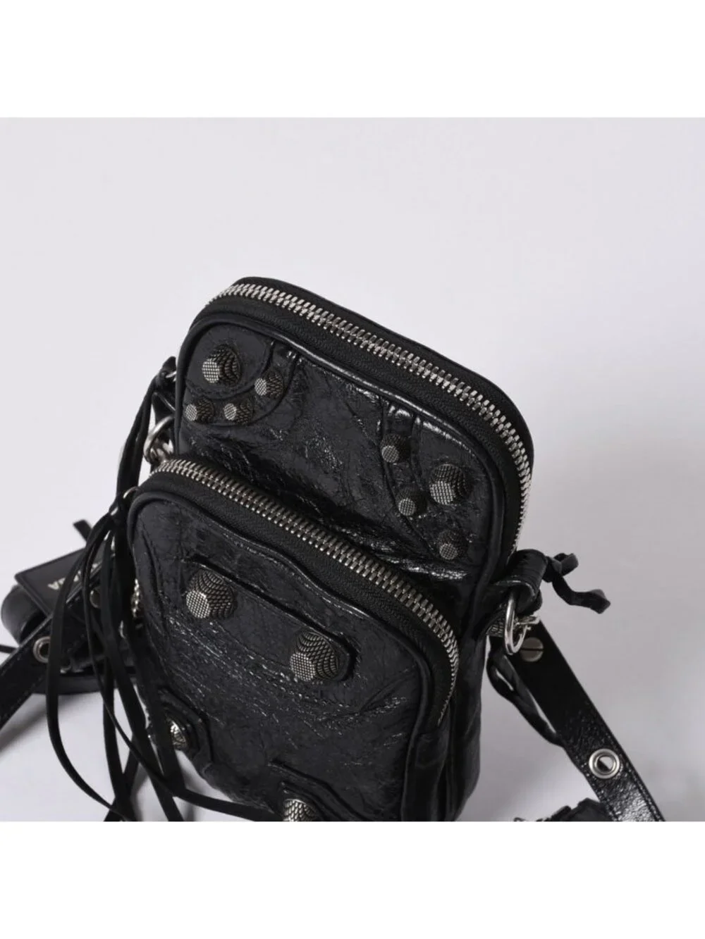 Balenciaga scratches pet our